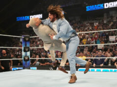 Biggest complaints with WWE Right Now (IMAGE CREDIT: WWE.COM)